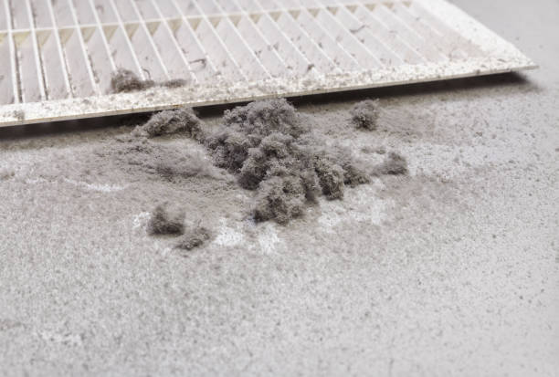Best Air Duct Cleaning Cost  in Hailey, ID