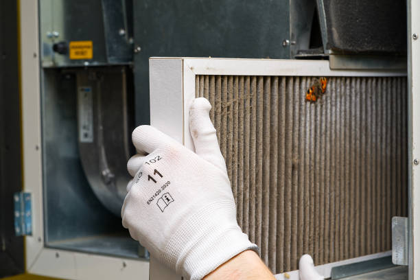 Best Local Air Duct Cleaning Services  in Hailey, ID